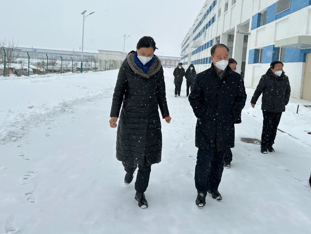 久久人妻少妇嫩草AV