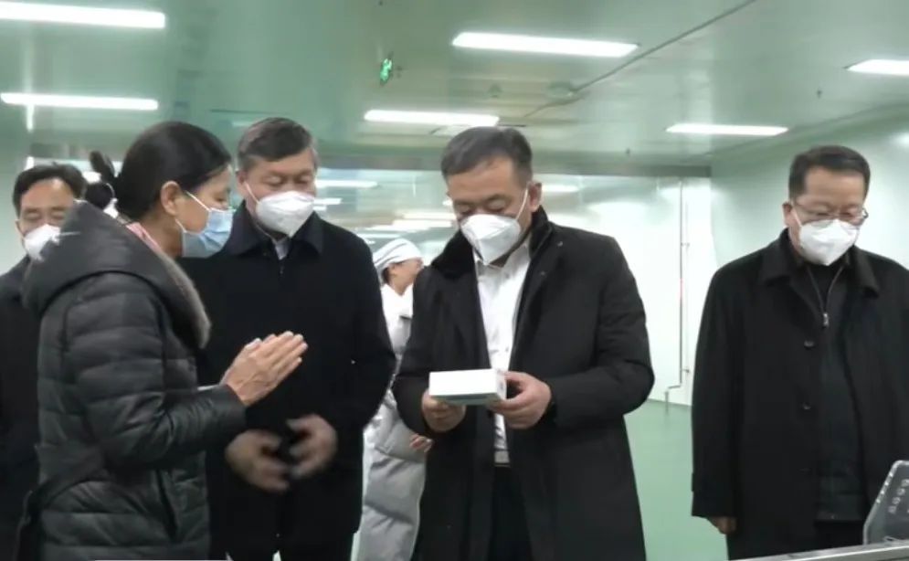 久久人妻少妇嫩草AV