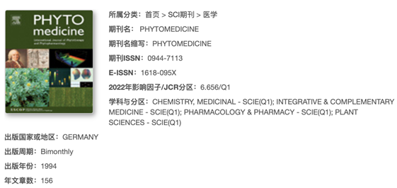 久久人妻少妇嫩草AV