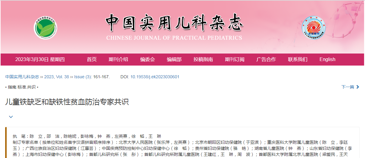 久久人妻少妇嫩草AV