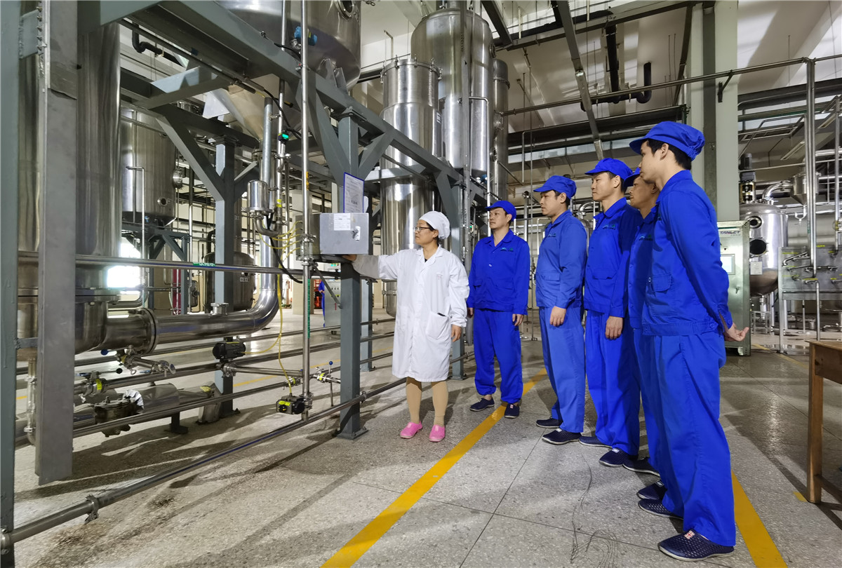 久久人妻少妇嫩草AV