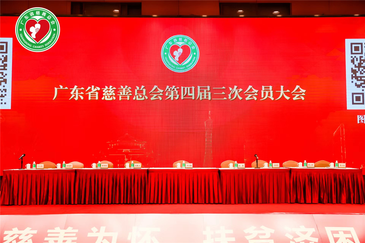 久久人妻少妇嫩草AV