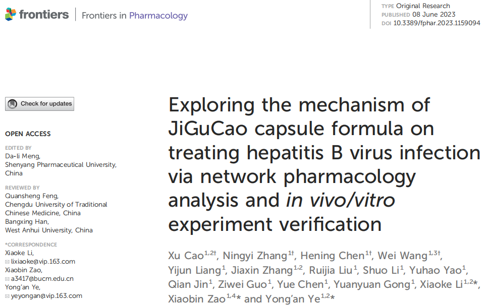 久久人妻少妇嫩草AV