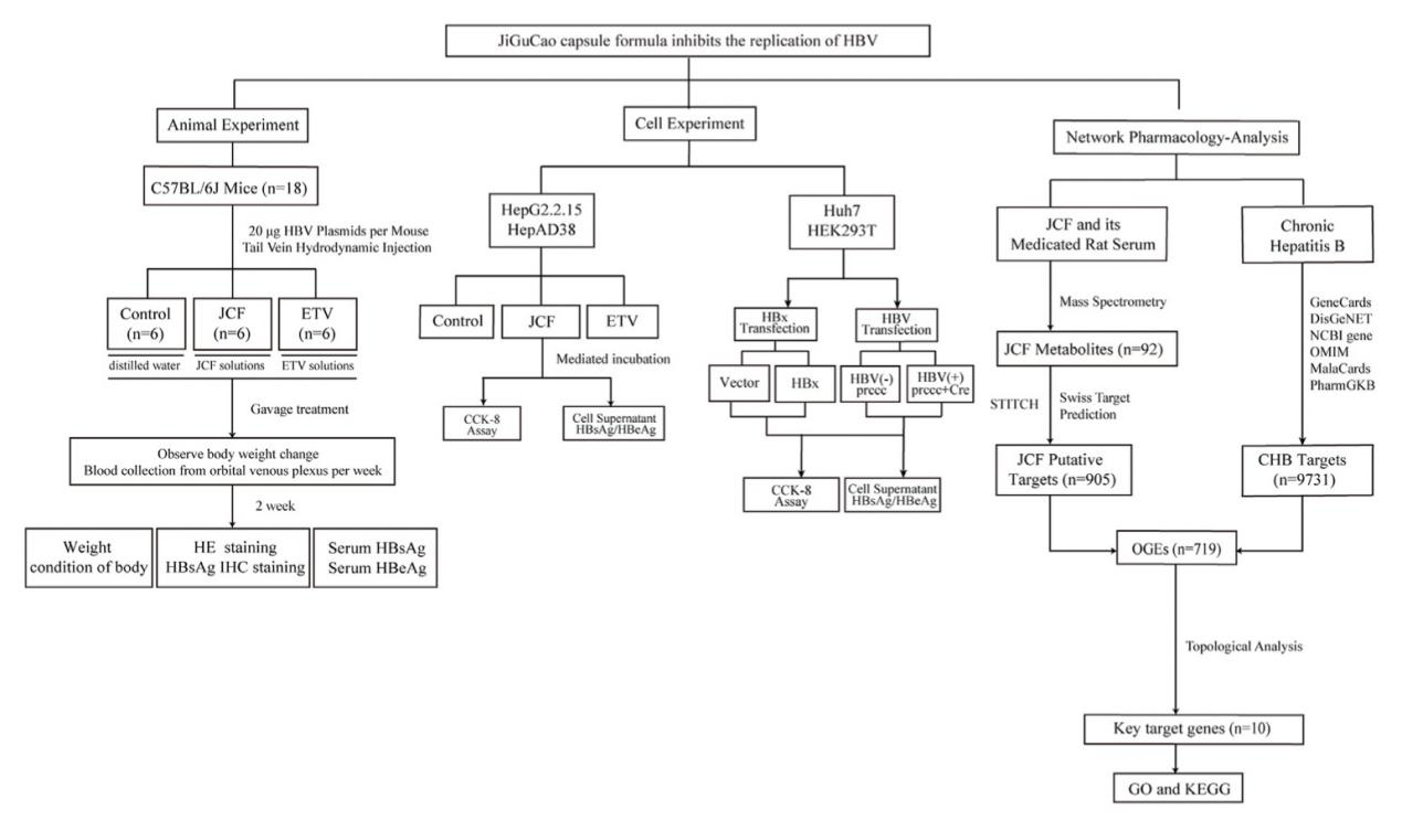 久久人妻少妇嫩草AV