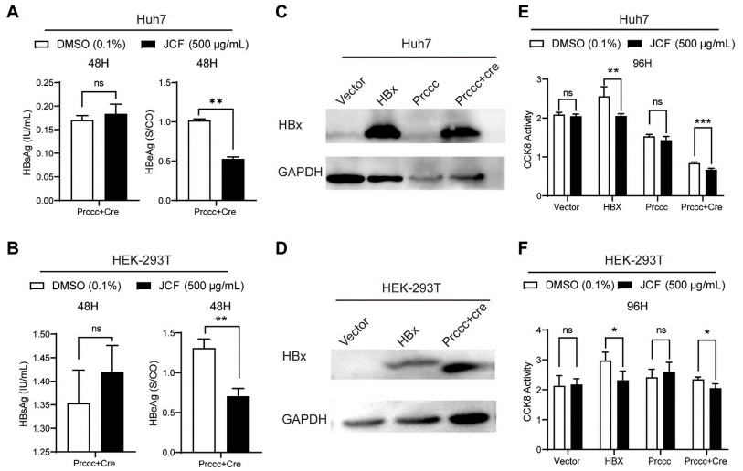 久久人妻少妇嫩草AV