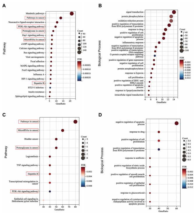 久久人妻少妇嫩草AV