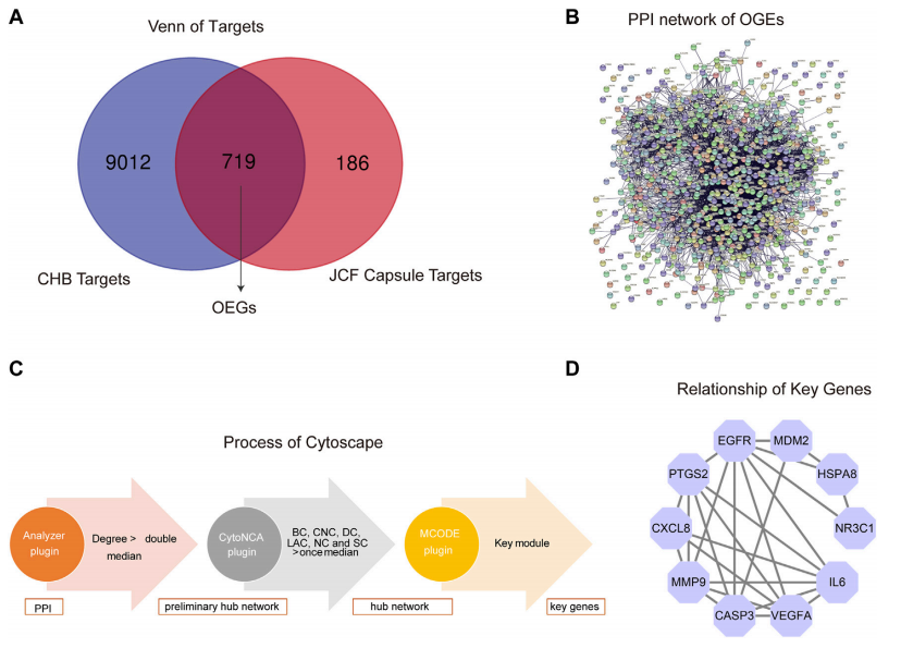 久久人妻少妇嫩草AV