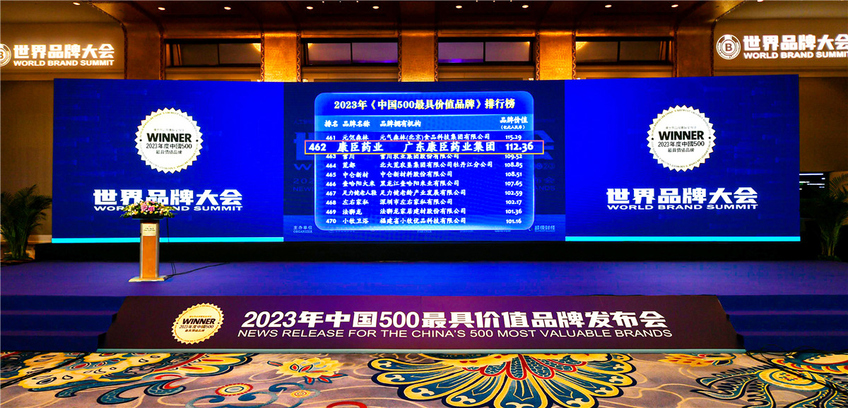 久久人妻少妇嫩草AV