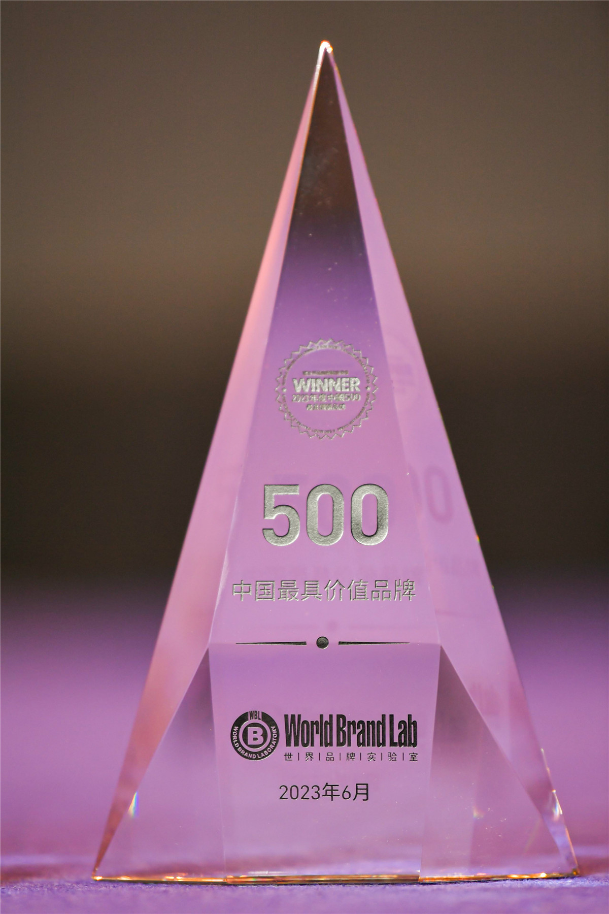 久久人妻少妇嫩草AV