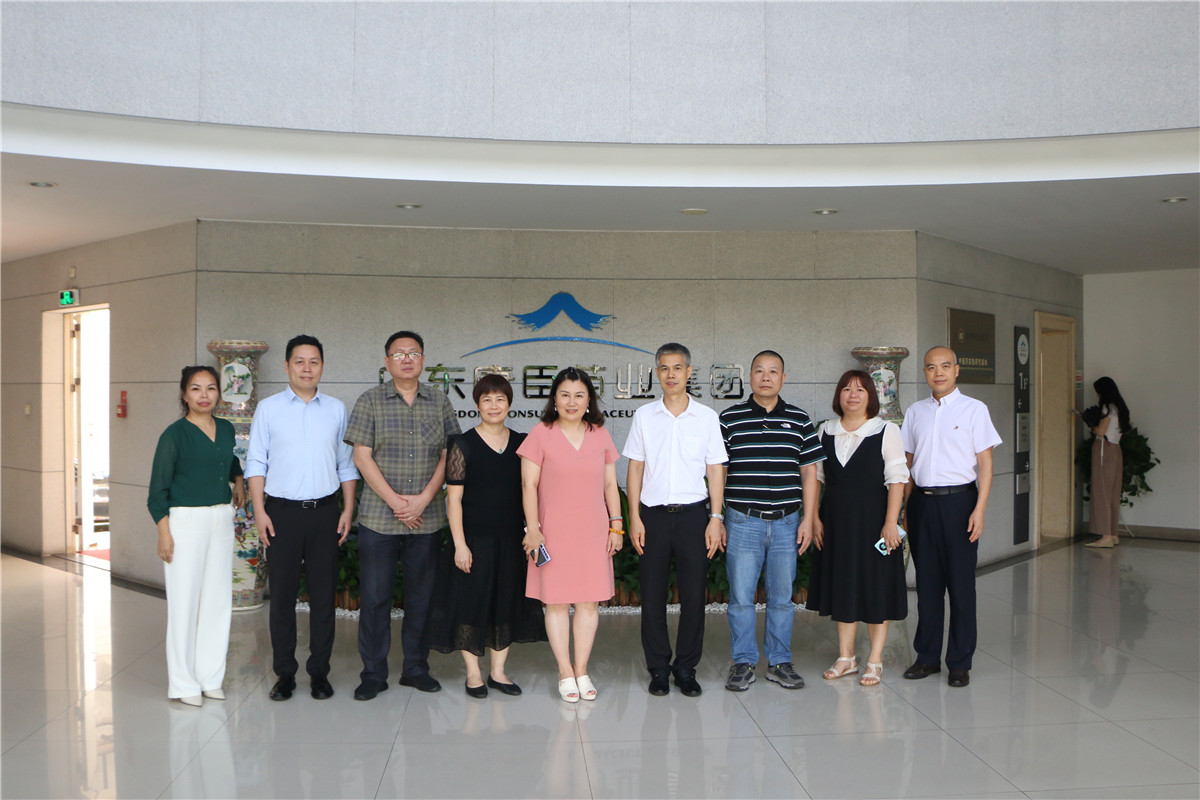 久久人妻少妇嫩草AV