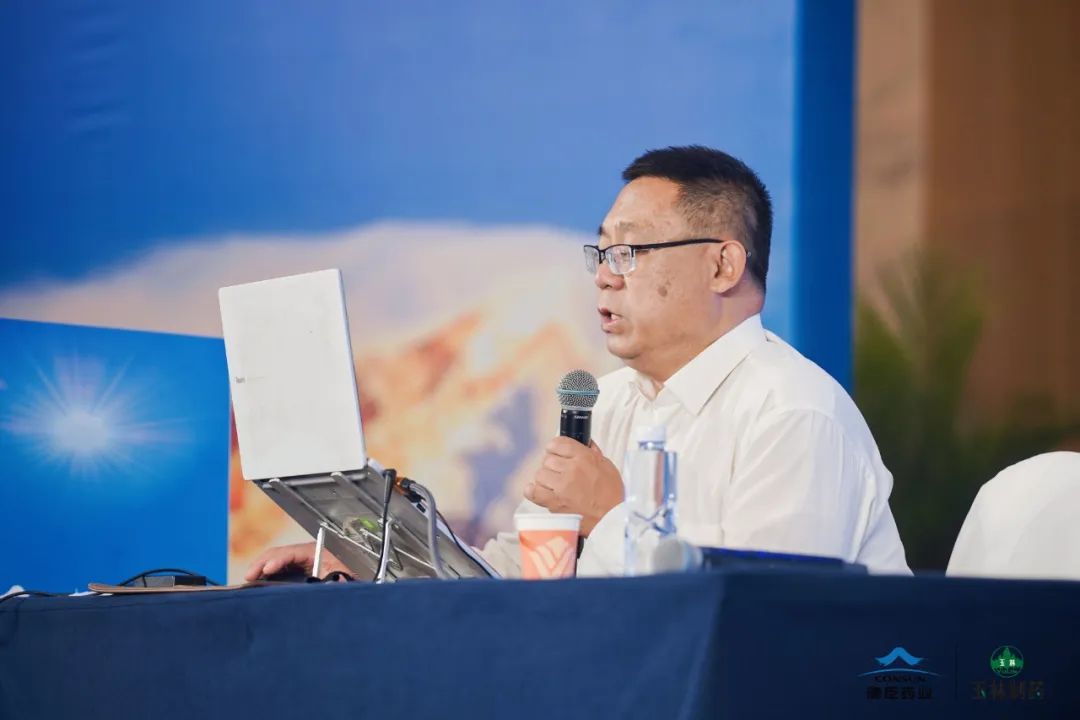 久久人妻少妇嫩草AV