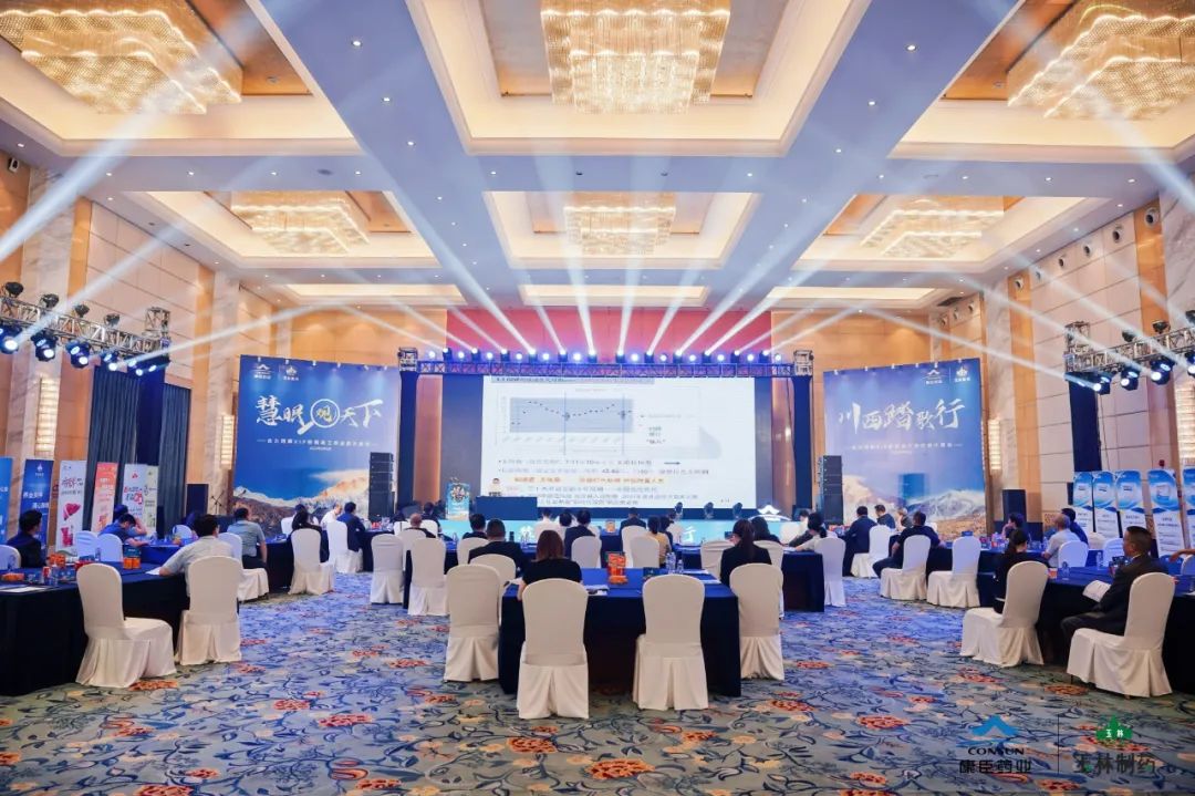 久久人妻少妇嫩草AV