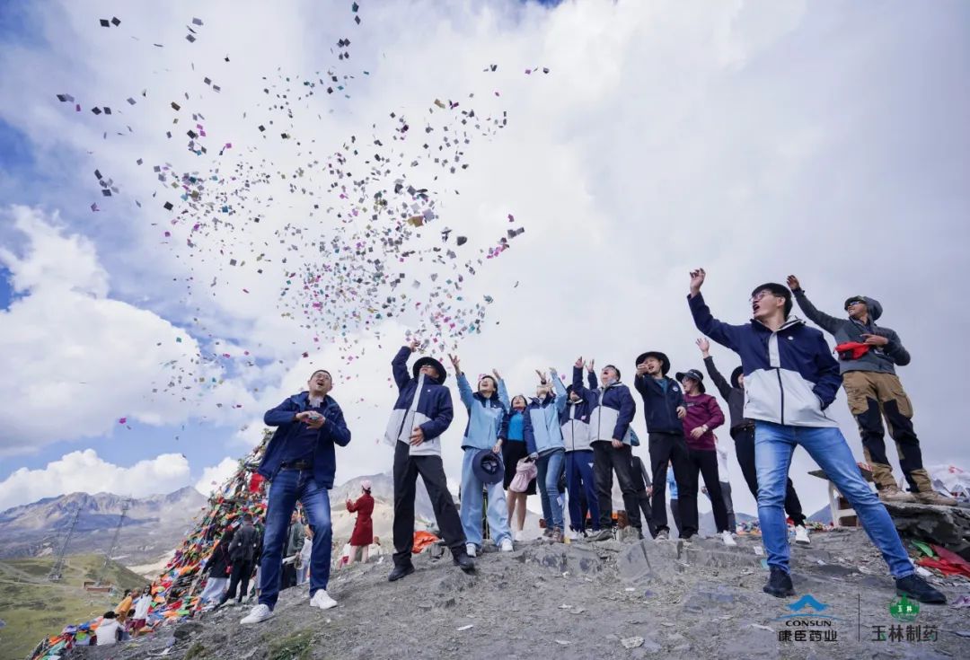 久久人妻少妇嫩草AV