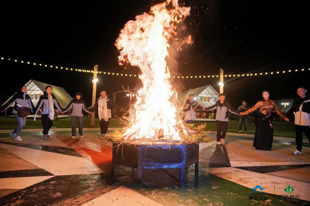 久久人妻少妇嫩草AV