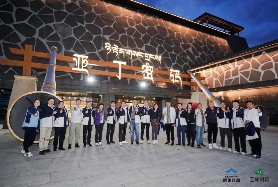 久久人妻少妇嫩草AV