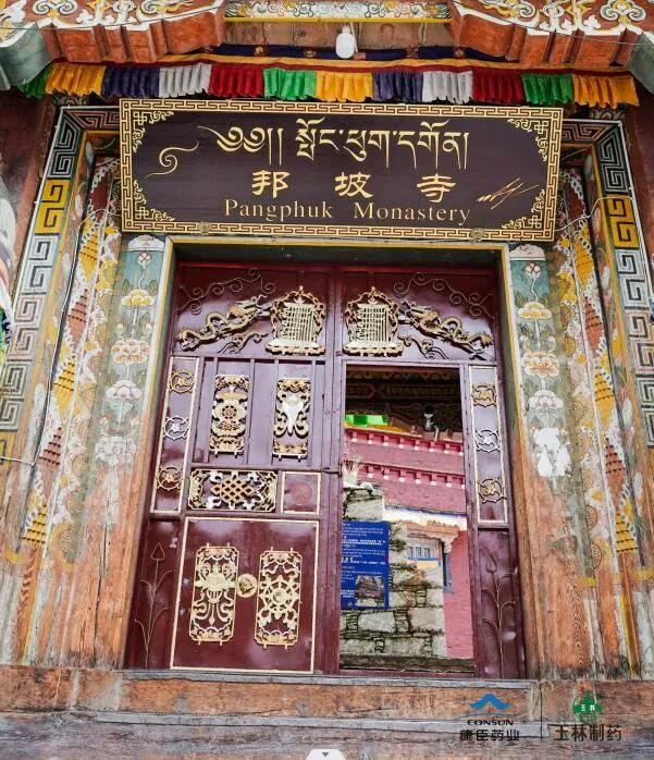 久久人妻少妇嫩草AV