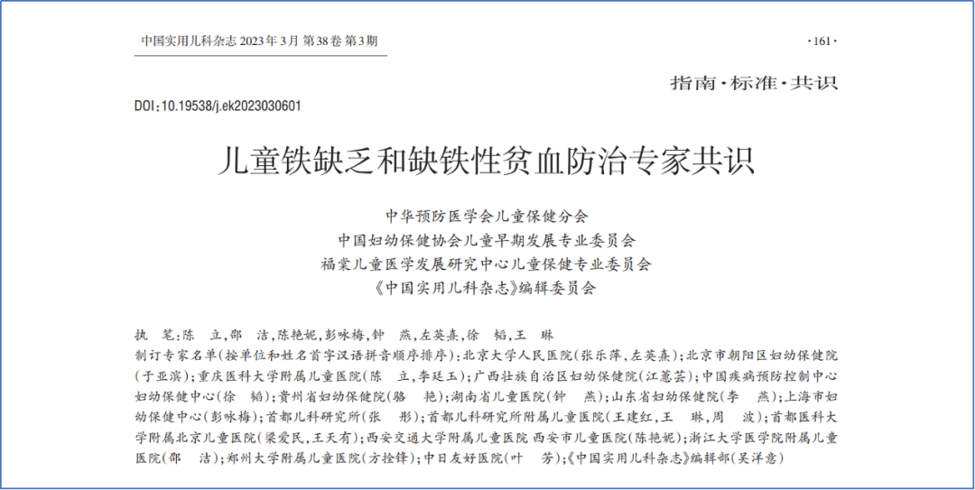 久久人妻少妇嫩草AV