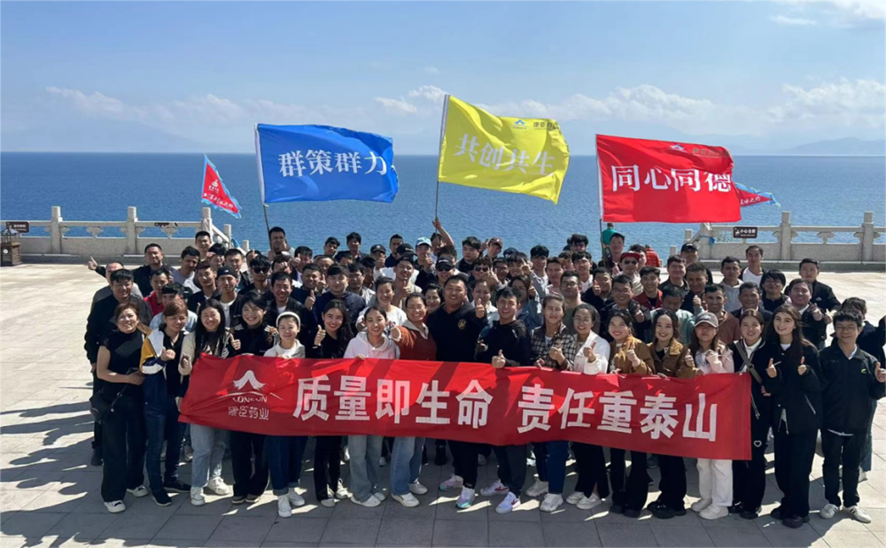 久久人妻少妇嫩草AV