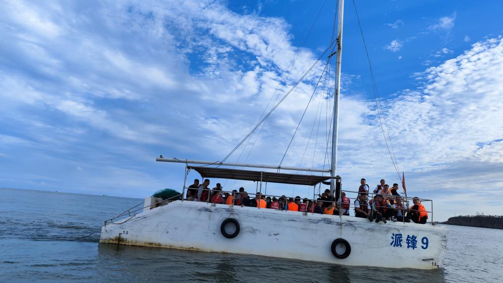 久久人妻少妇嫩草AV