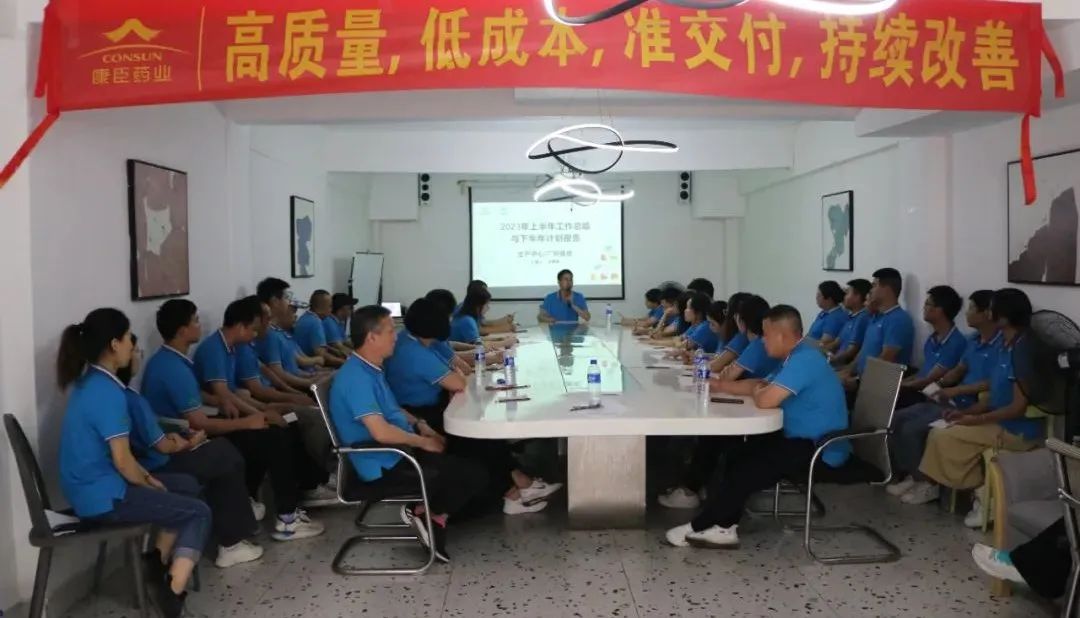 久久人妻少妇嫩草AV