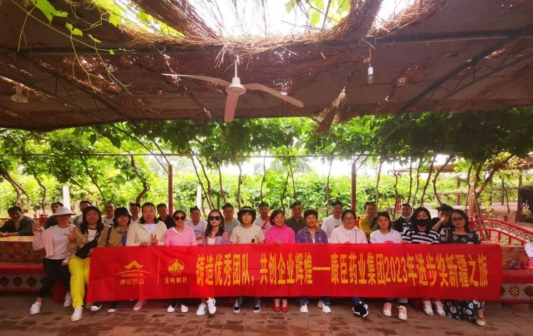 久久人妻少妇嫩草AV