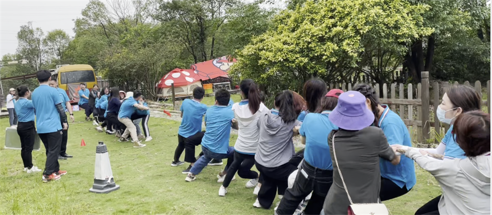 久久人妻少妇嫩草AV