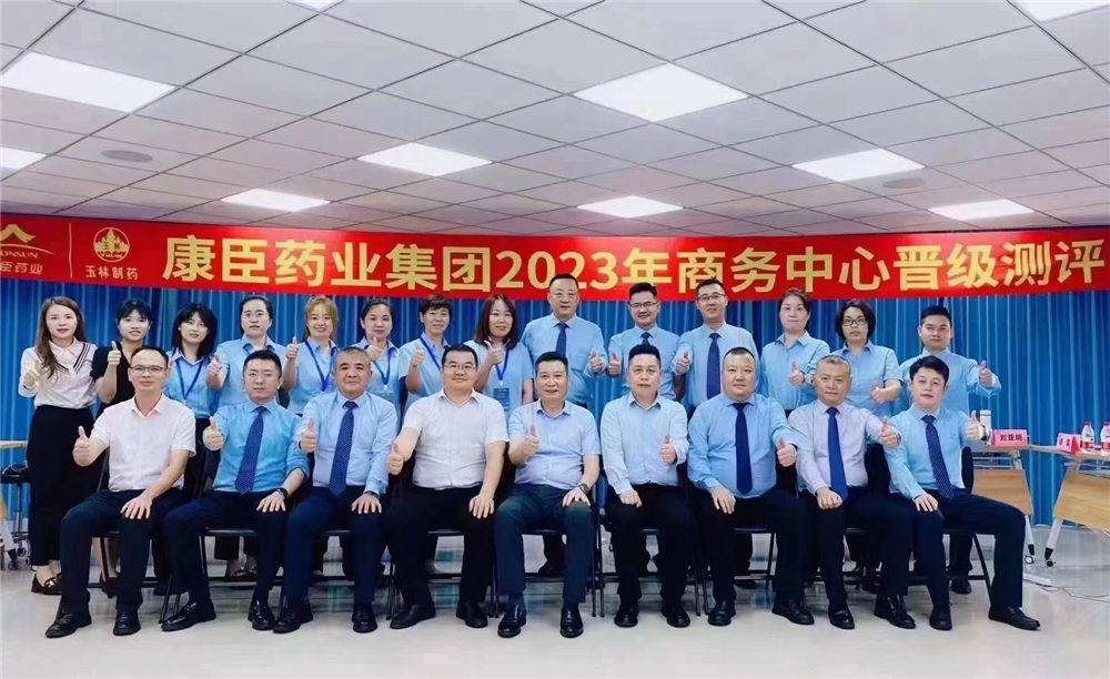 久久人妻少妇嫩草AV