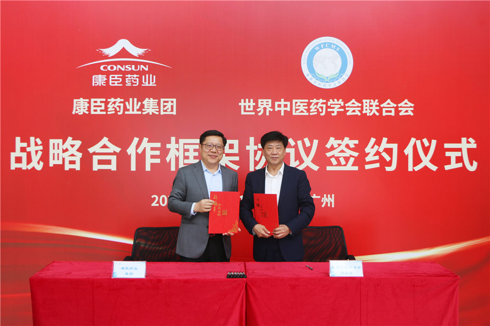 久久人妻少妇嫩草AV