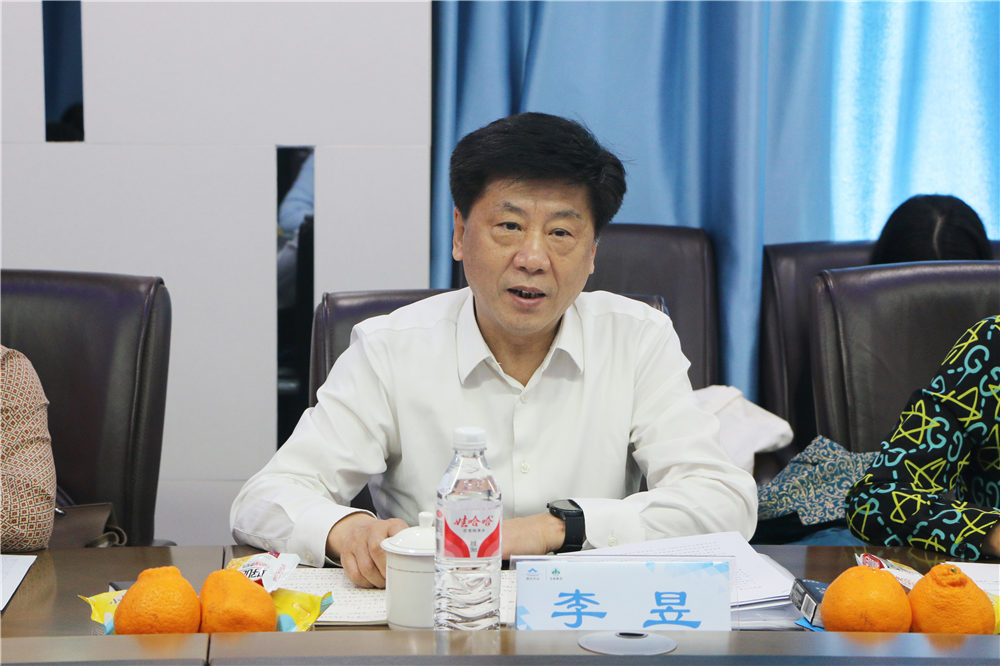 久久人妻少妇嫩草AV