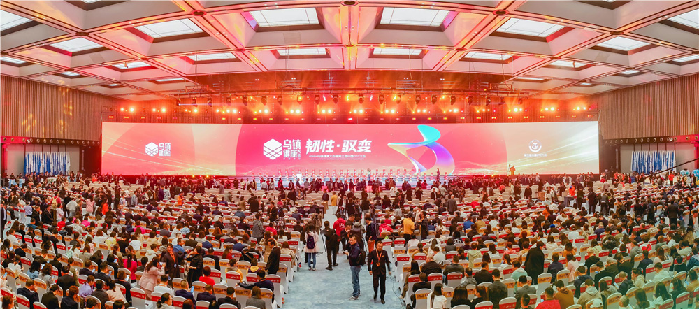 久久人妻少妇嫩草AV