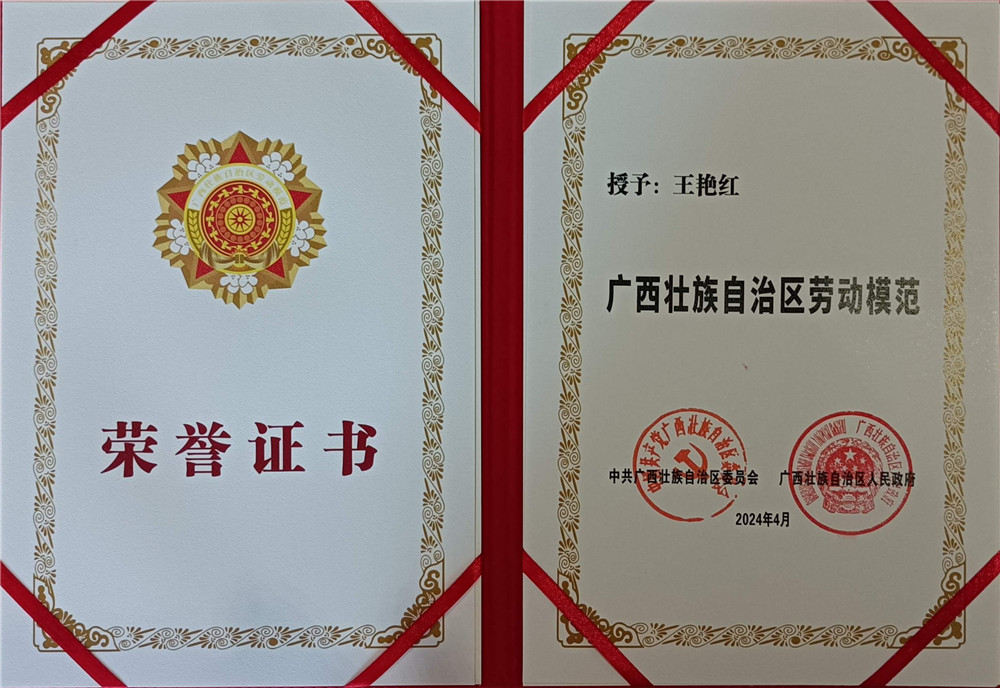 久久人妻少妇嫩草AV