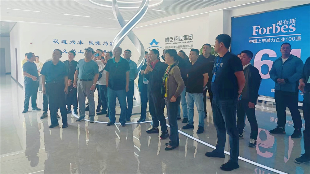 久久人妻少妇嫩草AV