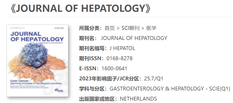 久久人妻少妇嫩草AV