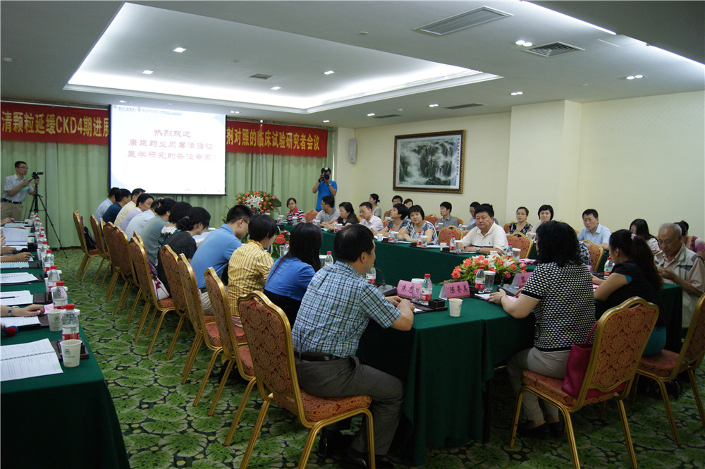 久久人妻少妇嫩草AV