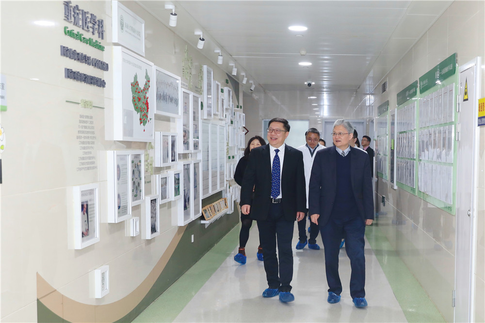 久久人妻少妇嫩草AV