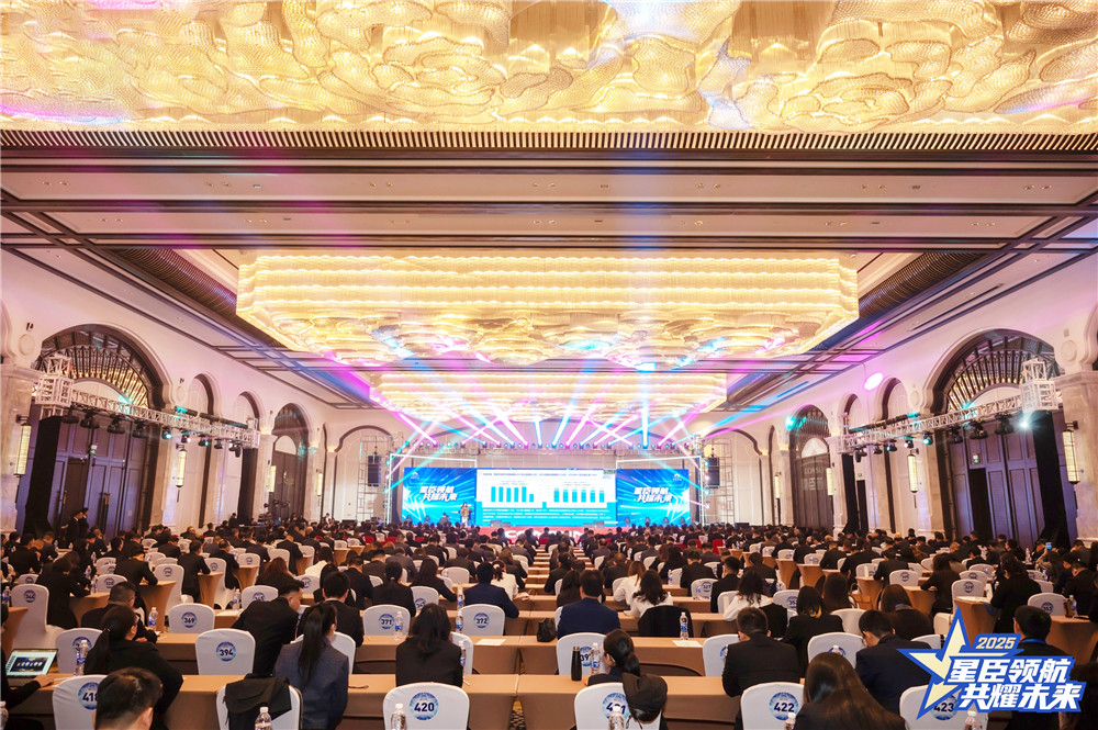 久久人妻少妇嫩草AV