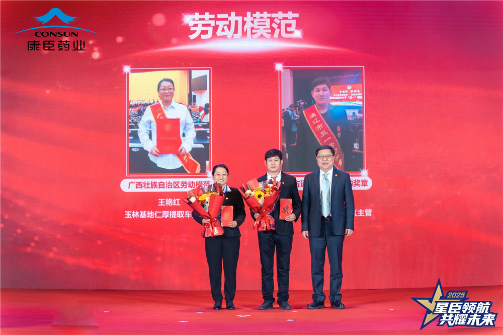 久久人妻少妇嫩草AV