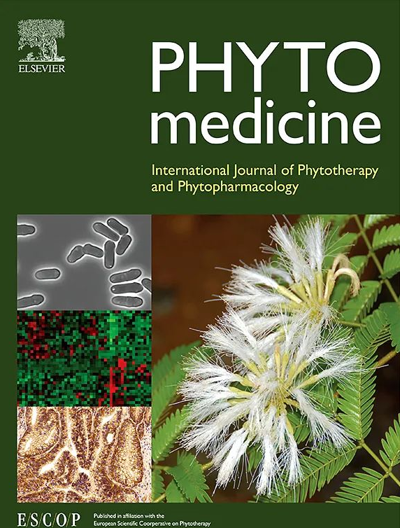 久久人妻少妇嫩草AV