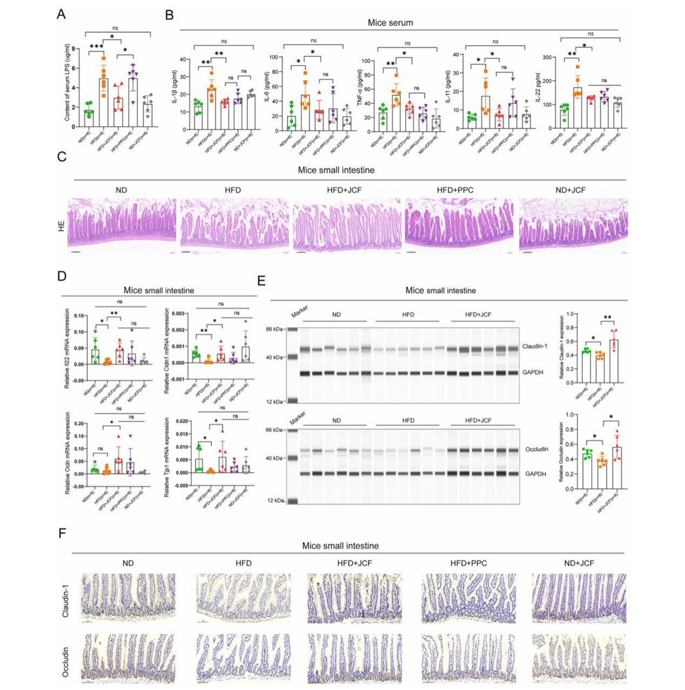 久久人妻少妇嫩草AV