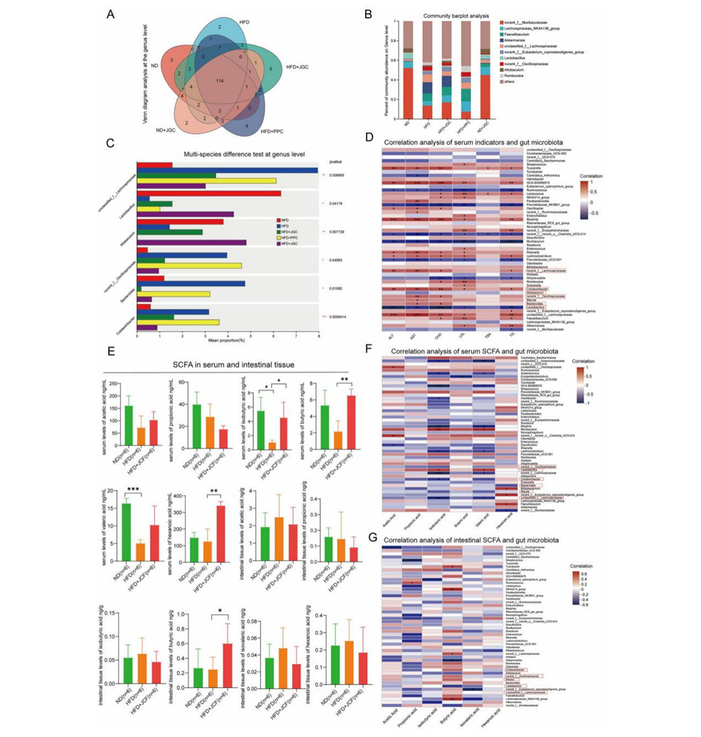 久久人妻少妇嫩草AV