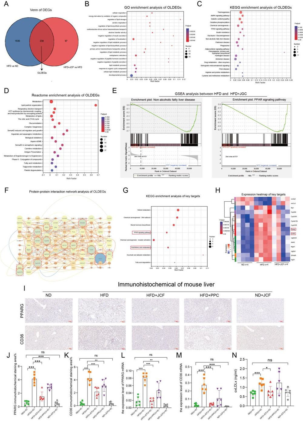 久久人妻少妇嫩草AV