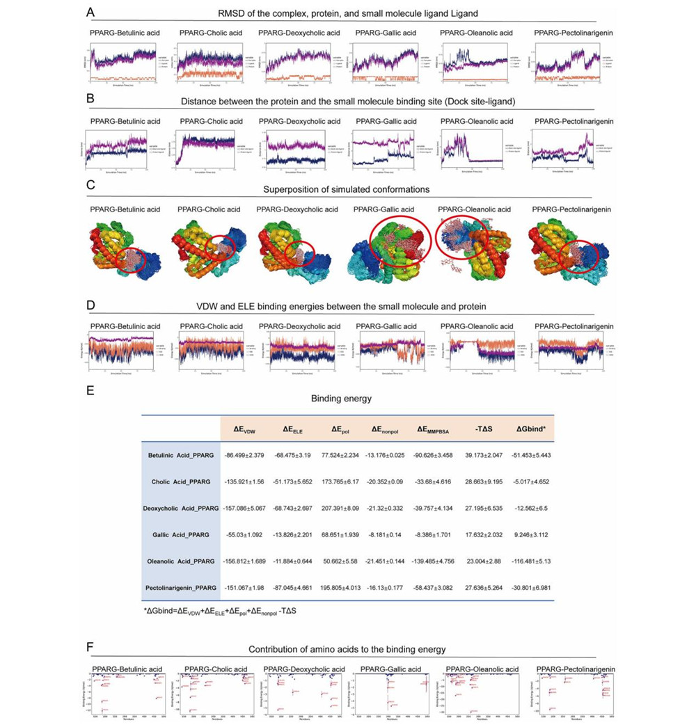久久人妻少妇嫩草AV