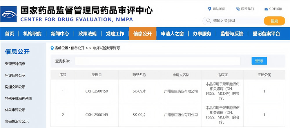 久久人妻少妇嫩草AV