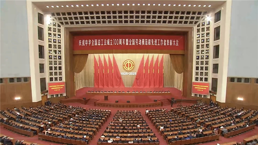 久久人妻少妇嫩草AV