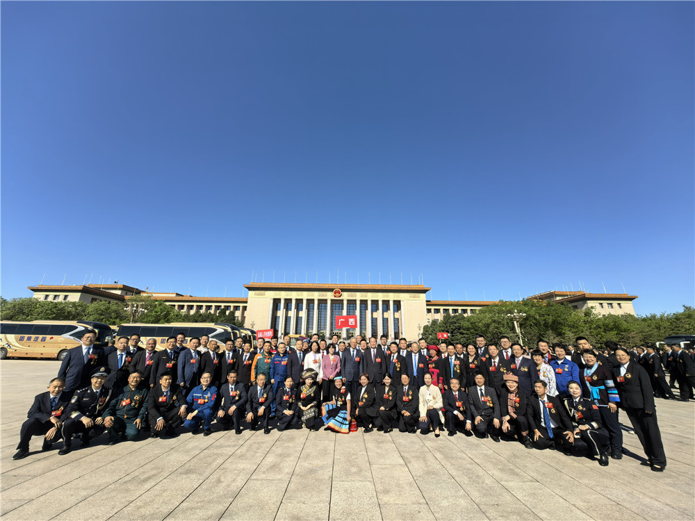 久久人妻少妇嫩草AV