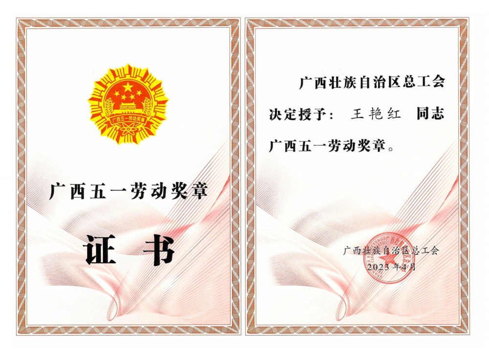 久久人妻少妇嫩草AV