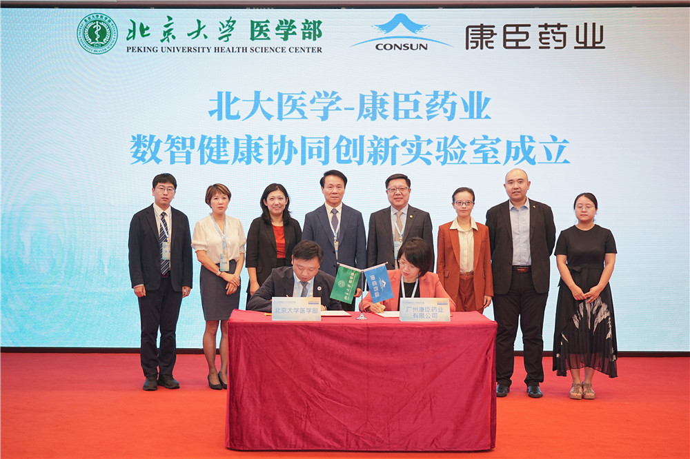 久久人妻少妇嫩草AV