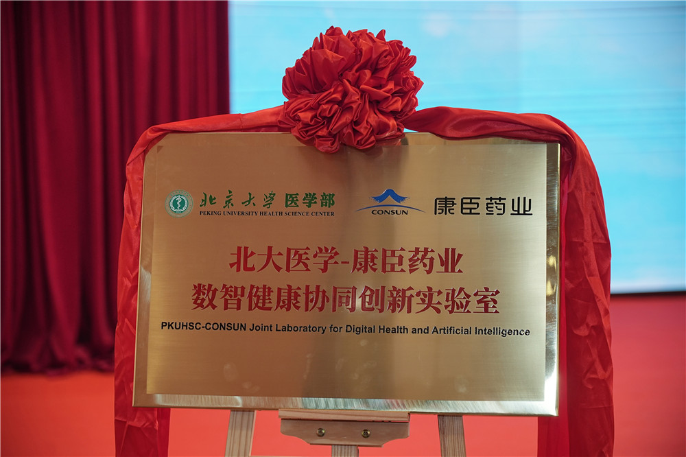 久久人妻少妇嫩草AV