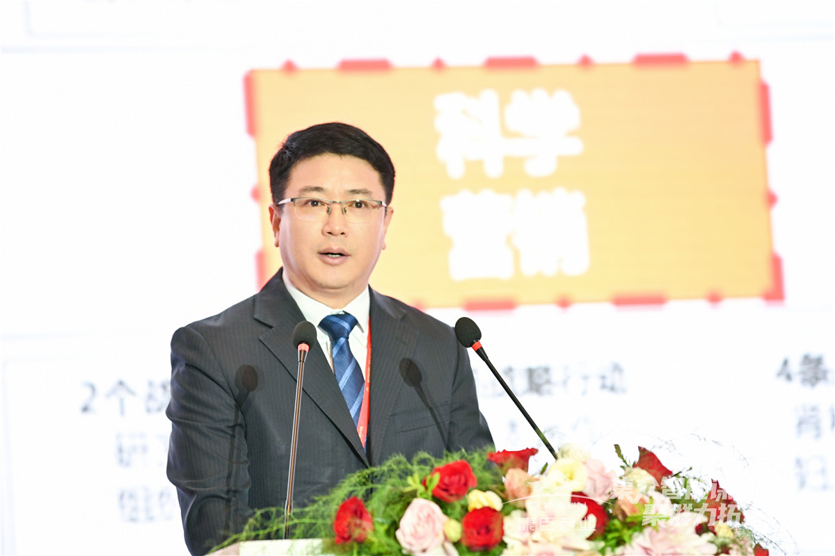 久久人妻少妇嫩草AV