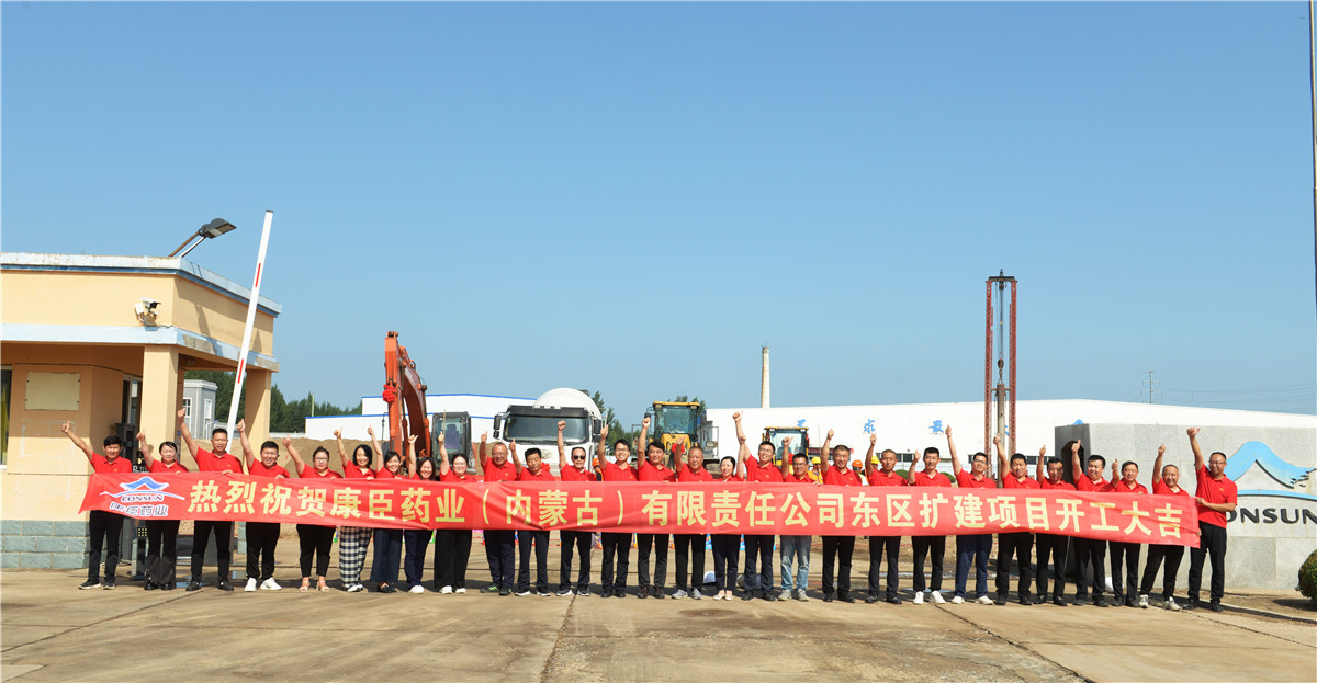 久久人妻少妇嫩草AV